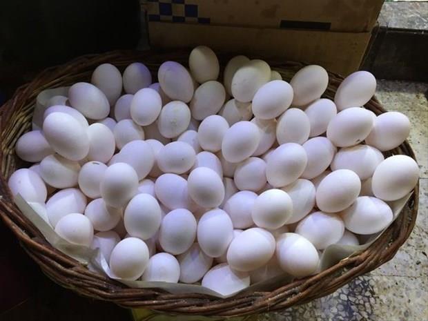 Bunu haberi okuduktan sonra yumurtanın kabuğunu çöpe atmayacaksınız