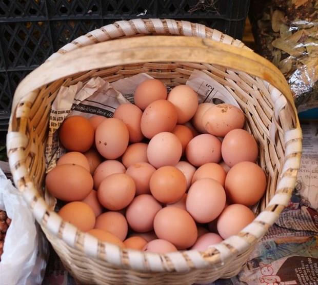 Bunu haberi okuduktan sonra yumurtanın kabuğunu çöpe atmayacaksınız