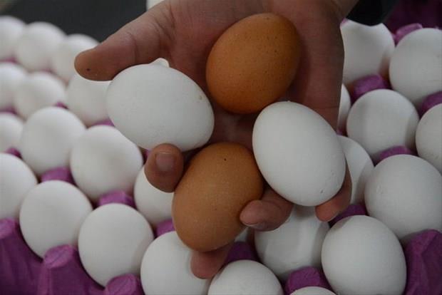 Bunu haberi okuduktan sonra yumurtanın kabuğunu çöpe atmayacaksınız