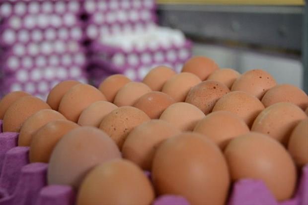 Bunu haberi okuduktan sonra yumurtanın kabuğunu çöpe atmayacaksınız