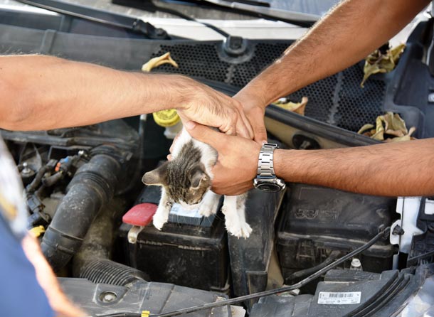 Arabaya bırakılan bu not bir can kurtardı!