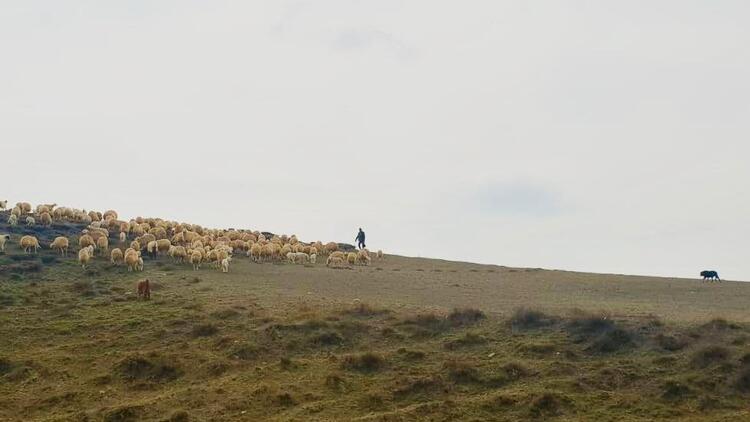 Bakan Selçuk’tan ‘Karantinada Değiliz’ Mesajı