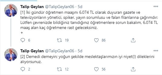 Türk Eğitim Sen Genel Başkanı Talip Geylan'dan öğretmen maaşları açıklaması