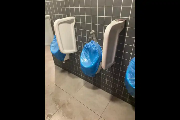pisuvarlar-1754978168-small.webp