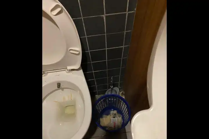 wc-1754978204-small.webp