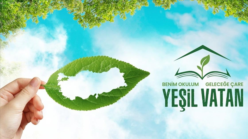 yslv.jpg